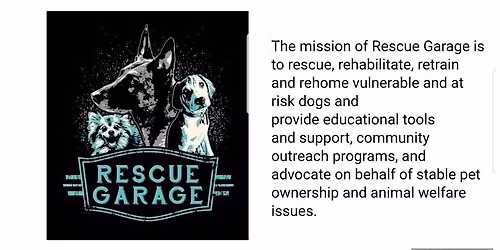 Charity Quarter Frenzy for Rescue Garage