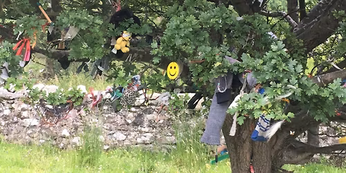 The Witches' Way - full-day historical witchcraft coach tour from Belfast