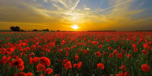 Auxiliary April Meeting