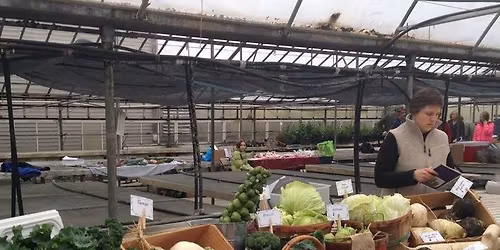 Anthony Petitti's Organic Greenhouse Farmers Market