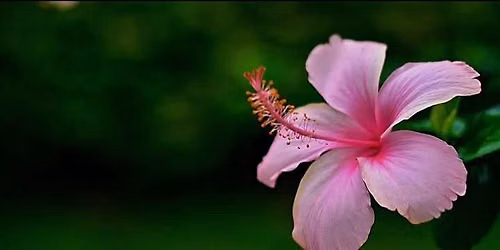 Live Life Forever Workshop: Mindset, Vitality & Purposeful Living\n