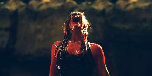 The Descent 20th Anniversary with Shauna Macdonald
