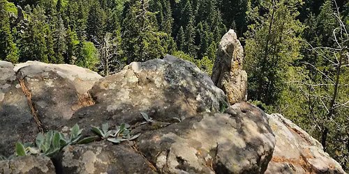 \u0415\u0414\u041d\u041e\u0414\u041d\u0415\u0412\u041d\u0410 \u0420\u0410\u0417\u0425\u041e\u0414\u041a\u0410 \u041f\u0420\u0415\u0417 \u201e\u041a\u0410\u041d\u042c\u041e\u041d\u042a\u0422 \u041d\u0410 \u0412\u041e\u0414\u041e\u041f\u0410\u0414\u0418\u0422\u0415\u201c