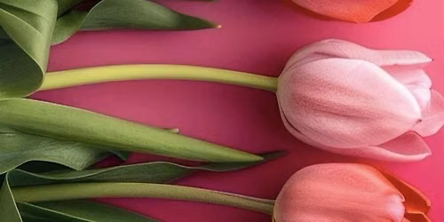 Sisterhood in Bloom: First Monthly Field Day & Potluck Gathering