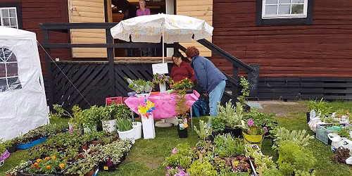 Hemtr\u00e4dg\u00e5rdens dag 2026