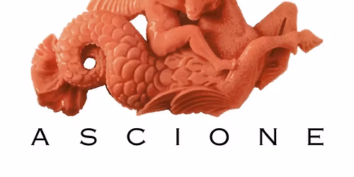 "NAPOLI in Pensieri, Parole, Opere e Ammissioni" di Dario Norcia