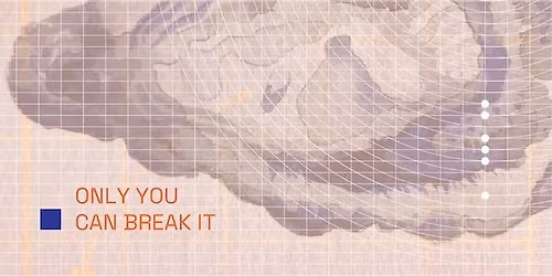 Only You Can Break It \/\/ expo Lana Schneider