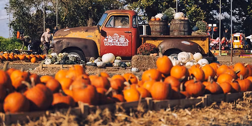 Pumpkin Patch