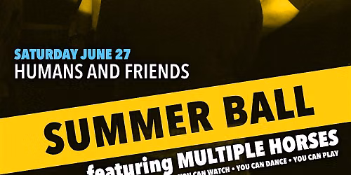 Summer Ball feat. Multiple Horses | Humans and Friends