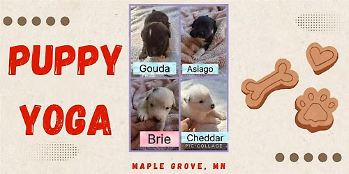 Puppy Yoga with No Dog Left Behind (Session 2)