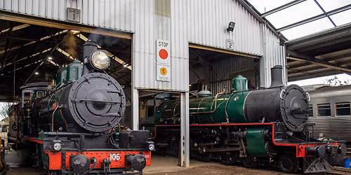 \ud83d\ude82DownsSteam's Clifton Pint & Plate Express \ud83d\ude82