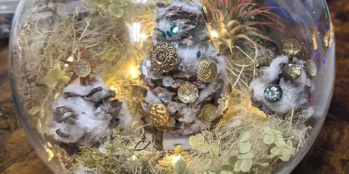 Winter Wonderland Terrariums