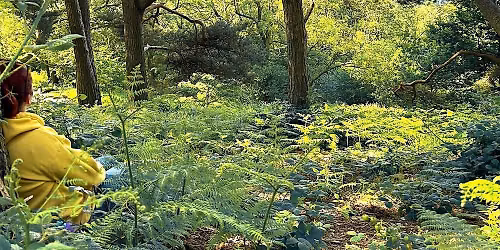 Forest Bathing Experience \u2013 An Introduction to Shinrin-Yoku