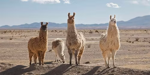 Twist Bioscience Breakfast Seminar (NGS)