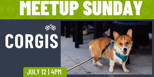 Corgi Meetup 