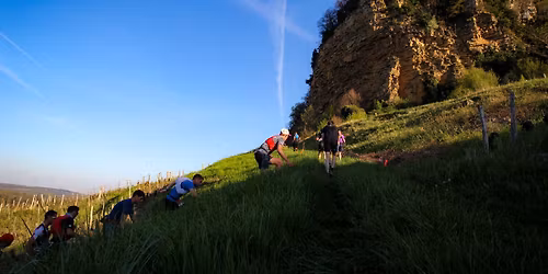 Trail des Recul\u00e9es 2026