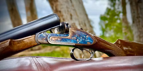 Upland NAVHDA Junior Pheasant Hunt