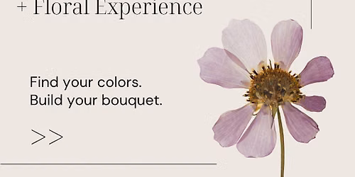 Palettes & Petals