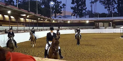 Region 2 Arabian Championship Show