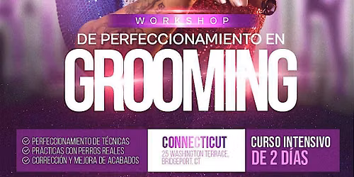 WORKSHOP INTENSIVO DE GROOMING l GISELA GONZALEZ