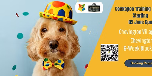 Cockapoo Training Classes - 1 place left