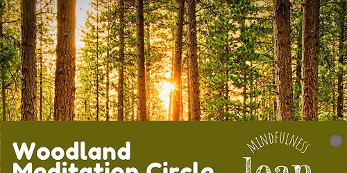 Meditation in the Woods