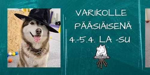 P\u00e4\u00e4si\u00e4isen Varikkotuokio \/ Koirankota
