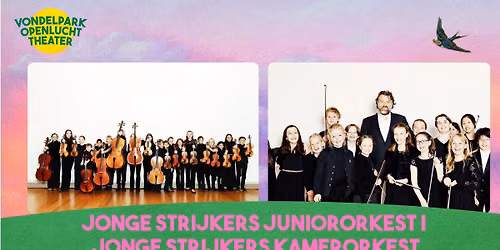 Jonge Strijkers Juniororkest | Jonge Strijkers Kamerorkest