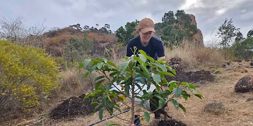 Castle Hill Landcare - Community Working Bee
