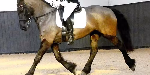 Unaffiliated Dressage