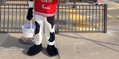 Cow Appreciation Day