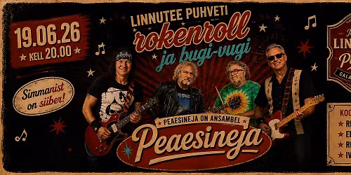 Puhveti rokenroll ja bugi-vugi