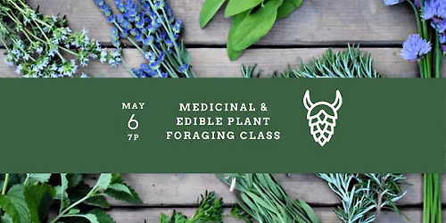 Medicinal & Edible Plant Foraging Class