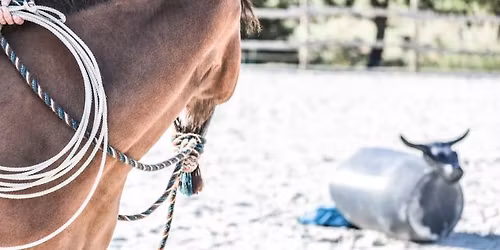 Soir\u00e9e Ap\u00e9ro- Lasso chez Western Attitude