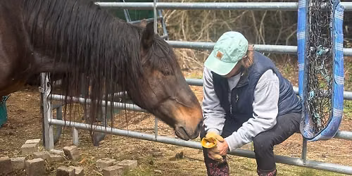 Mini Clinic- connecting with yourself and connecting with horses