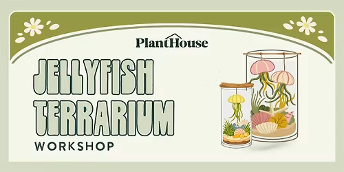 Jellyfish Terrarium Workshop