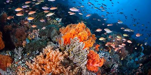 Possible Philippines Trip 2026