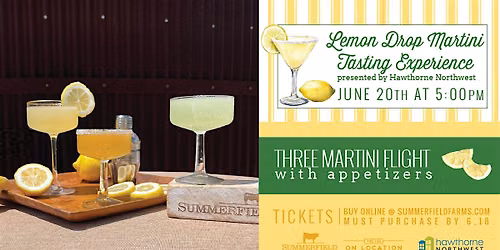 Lemon Drop Martini Tasting Experience