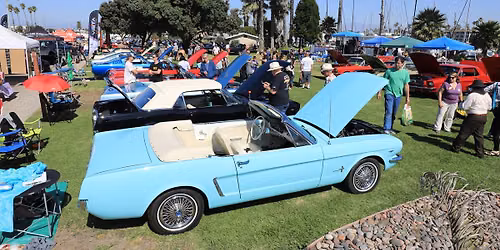 Ponies by the Sea 2026