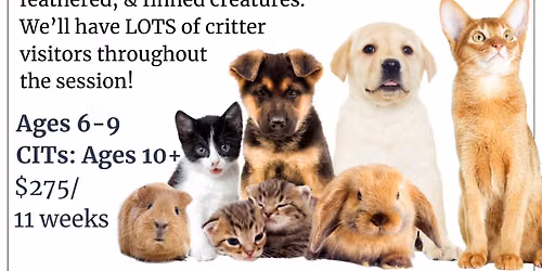 Critter Club