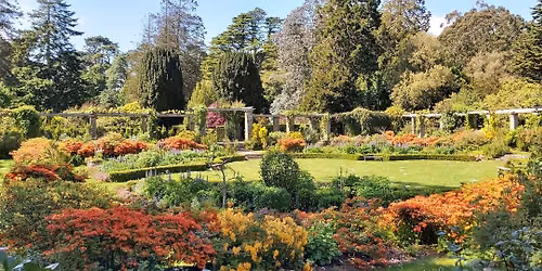 Summer Series Gardener Walks