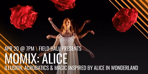 MOMIX: ALICE