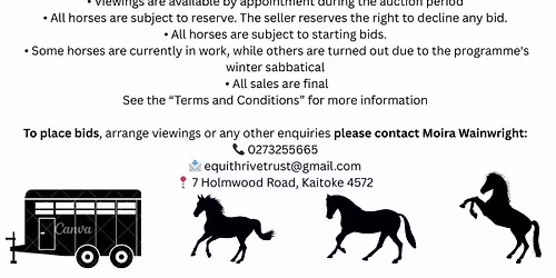Silent Auction of Therapy Horses