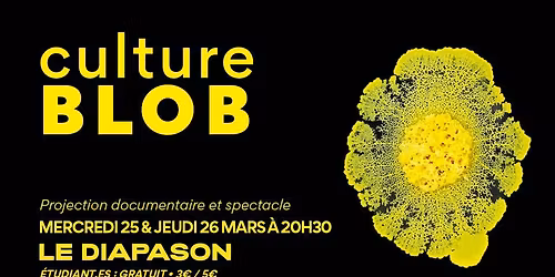 Le BLOB, un g\u00e9nie sans cerveau