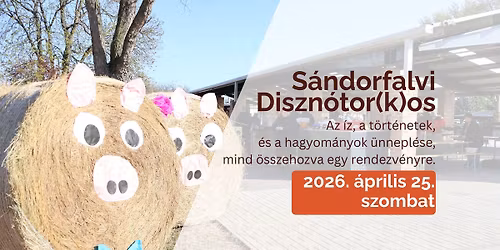 S\u00e1ndorfalvi Diszn\u00f3tor(k)os