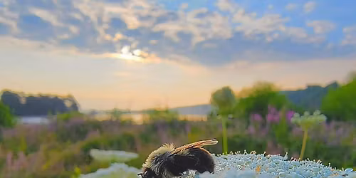 Free Program: Living With Nature on Small Properties