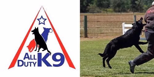 All Duty K9 - Group Training Day