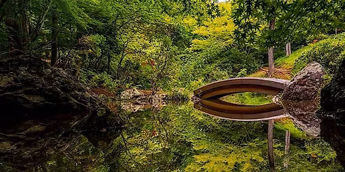 Morven Japanese Tea Ceremony - May 15