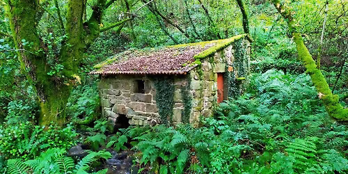 Rota da Pedra e \u00c1gua (C\/ visita a Combarro)