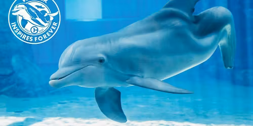 Clearwater Marine Aquarium \ud83d\udc2c